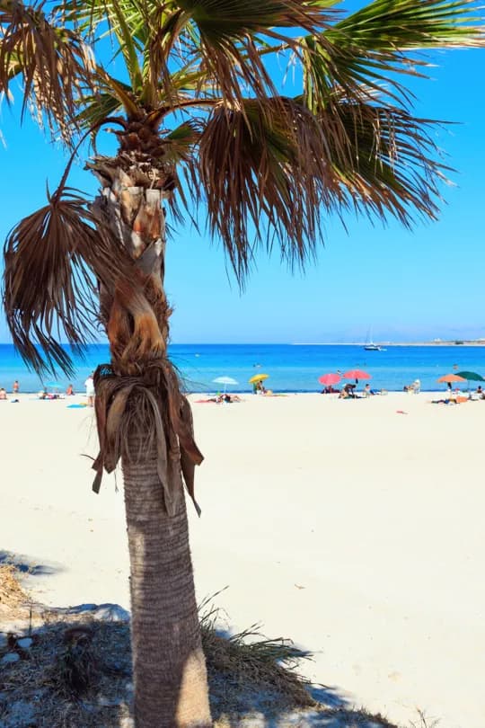 Beaches in Sicily